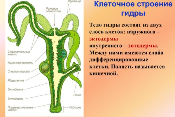 Зарегистрироваться на сайте кракен